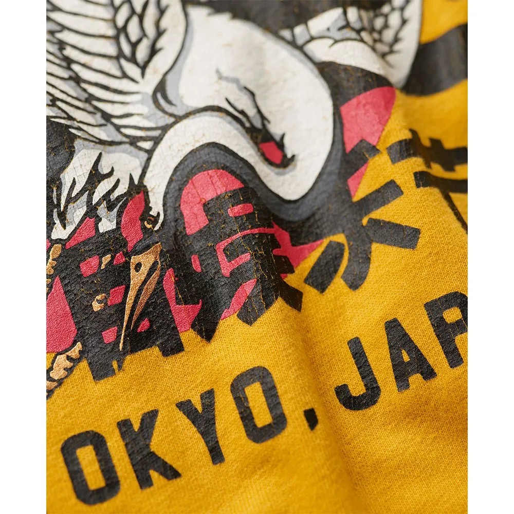 圖5