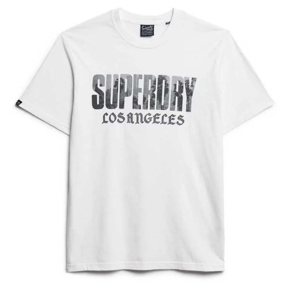 SUPERDRY Photographic Skate L T恤 寬鬆版型 正品歐洲代購 [141110756]