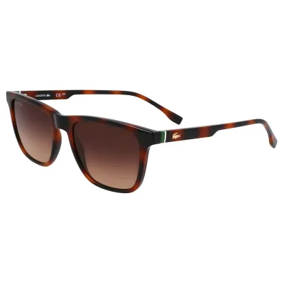 LACOSTE 6041s 太陽眼鏡 正品代購