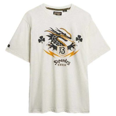 SUPERDRY Campaign Souvenir Lo T恤 寬鬆版型 正品歐洲代購 [142283434]