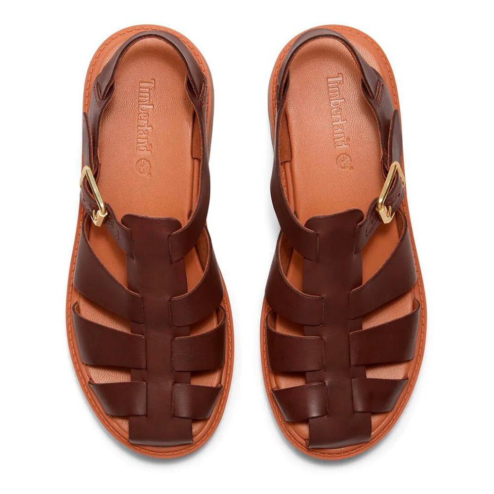 圖5